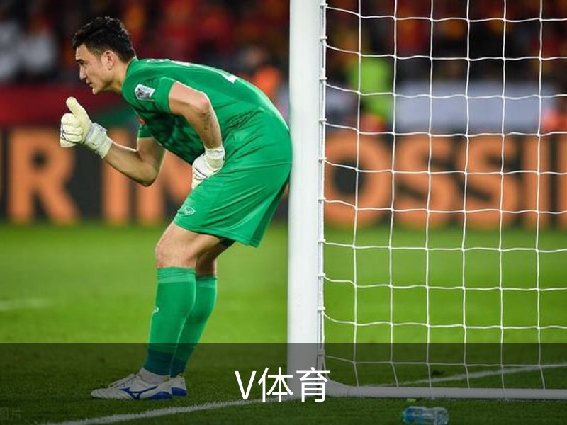 关于V体育